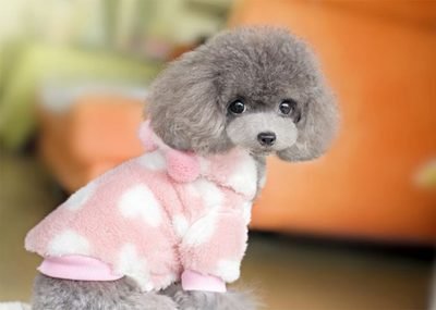 멀티비타민 보충제 다기능 정제 고양이와 개 천연 면역 지원 및 알레르기 완화 2