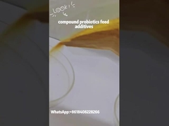 식품첨가물 복합 프로바이오틱스 바실루스 서블리스 복합 미생물제품